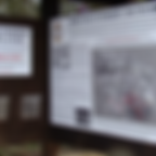 Annotation 2020-06-22 120812.png