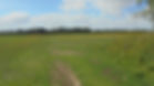 North Meadow.jpg