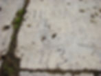 Runway #2 SW graffiti