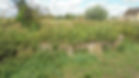 Glider Blocks 3.jpg