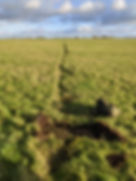 PXL_20201220_134156667.jpg