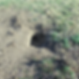 Annotation 2020-06-17 201233.png