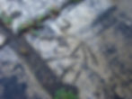 Runway #2 SW graffiti