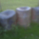 IMG-20170411-00073.jpg