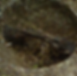 Annotation 2020-06-17 154419.png