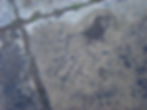 Runway #2 SW graffiti