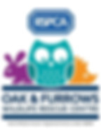 rscpca-logo.jpg