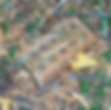 Annotation 2020-06-17 120100.png
