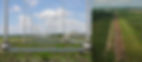 Rx picturesjpg[8383].jpg