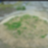 Annotation 2020-06-17 193221.png