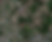 Crash Site.png