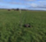 PXL_20201220_123856155.jpg