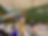 FZ692 dedication 1.png