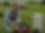 Annotation 2020-07-28 073443.png