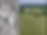 Annotation 2020-06-23 093736.png